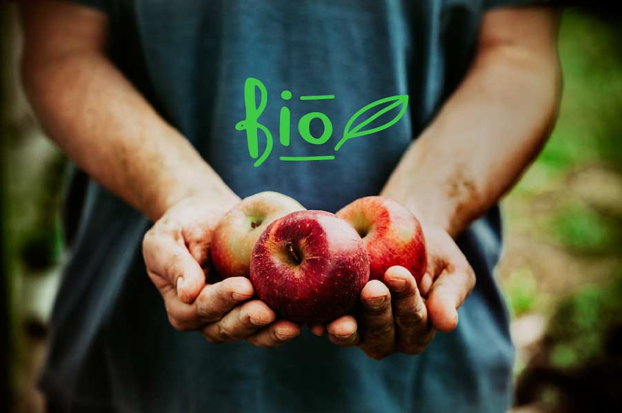 Mele Bio: la passione dà i suoi frutti