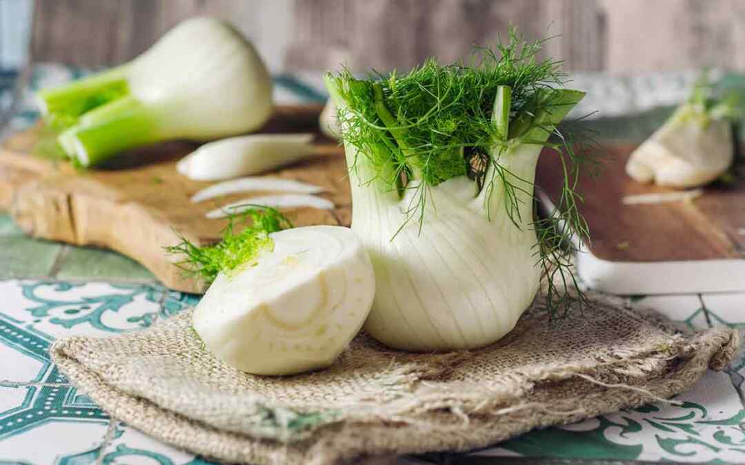 Il finocchio: proprietà, benefici e uso in cucina