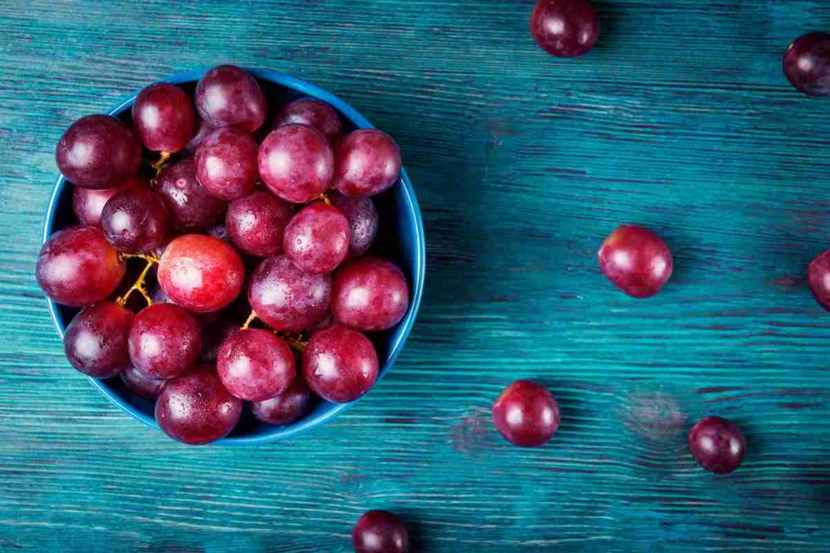 ricette con uva
