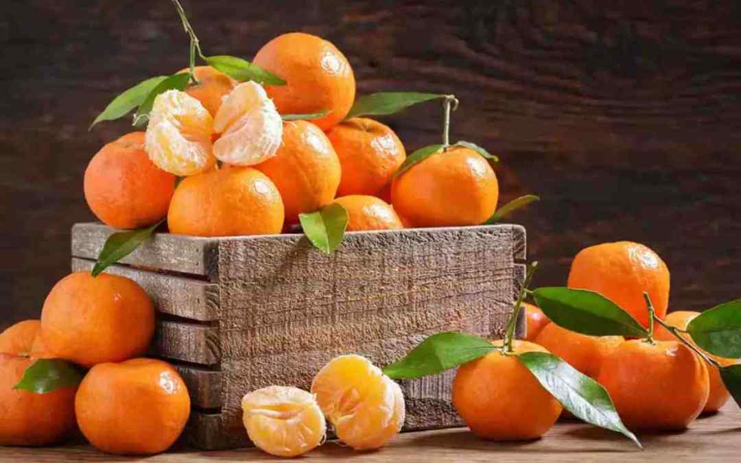 Ricette con mandarini: alcune idee gustose