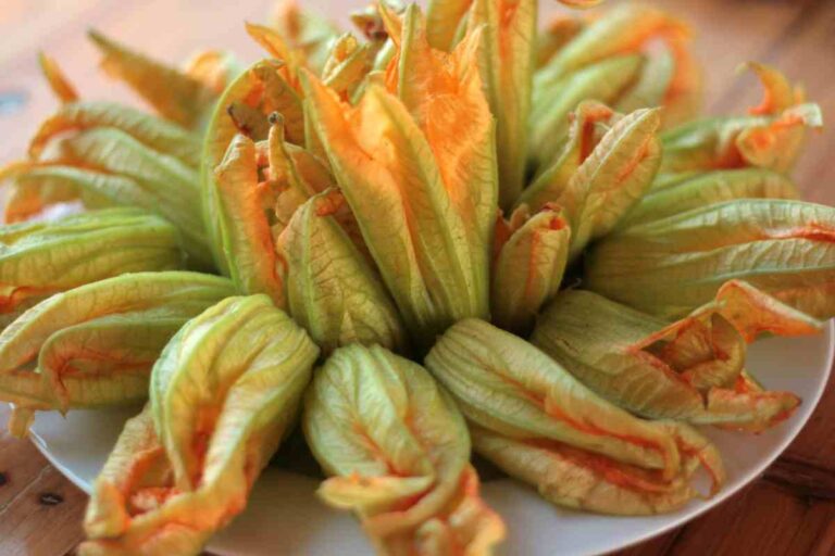 fiori di zucca alla romana