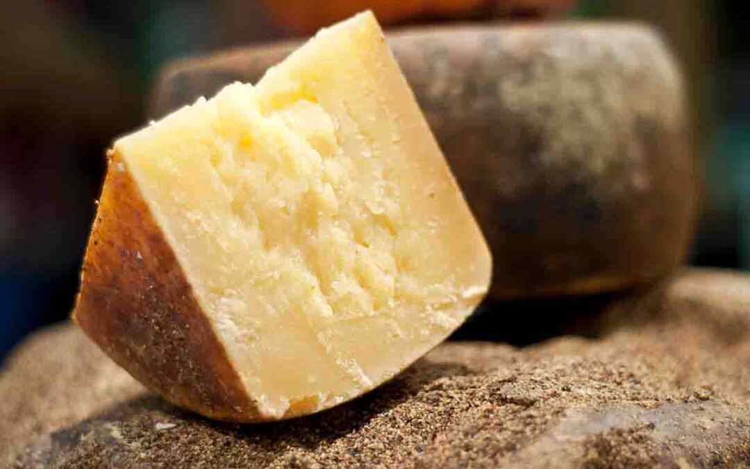 Ricette con il Pecorino Romano: idee e consigli