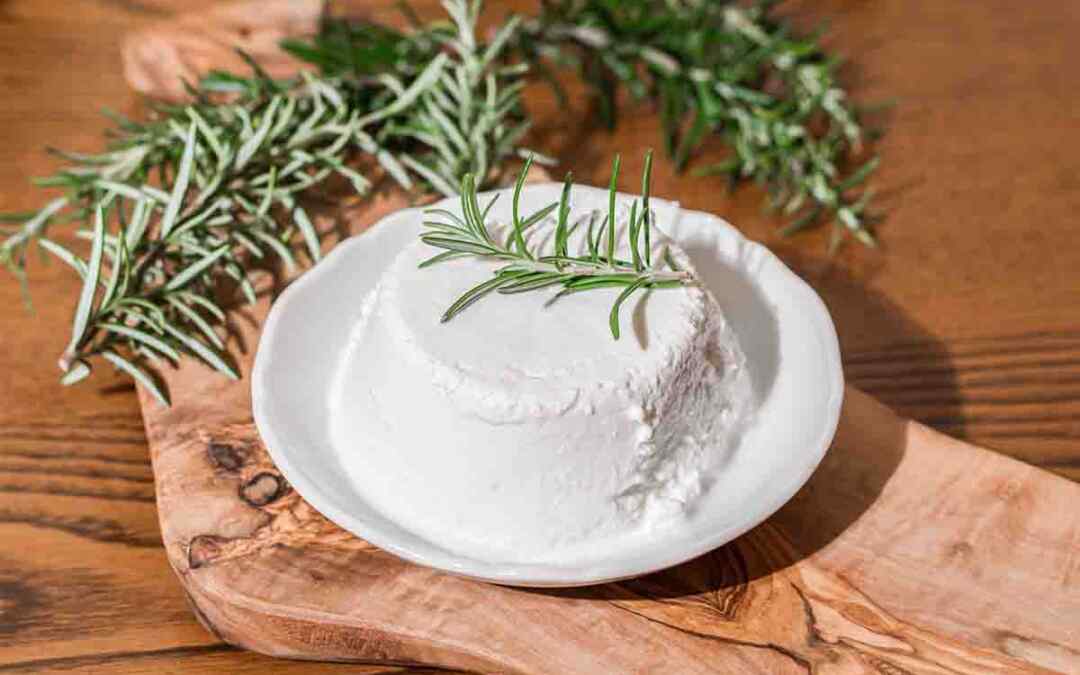 5 ricette romane con ricotta: idee e consigli utili
