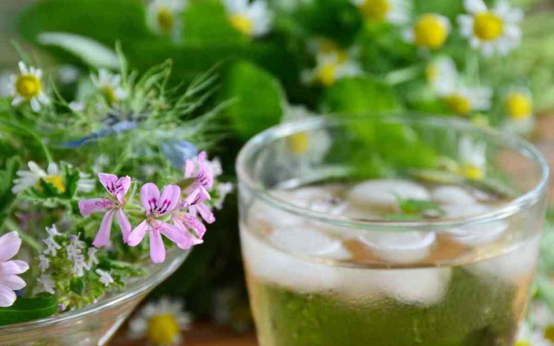 Tisane fredde per l’estate: come prepararle e quali sono i benefici