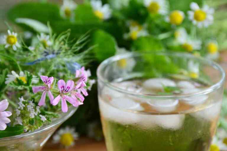 Tisane fredde per l