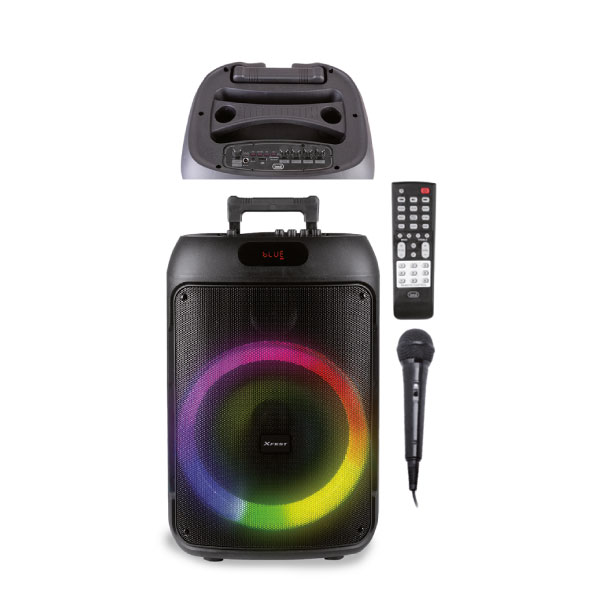 CASSA KARAOKE X-FEST CON MICROFONO