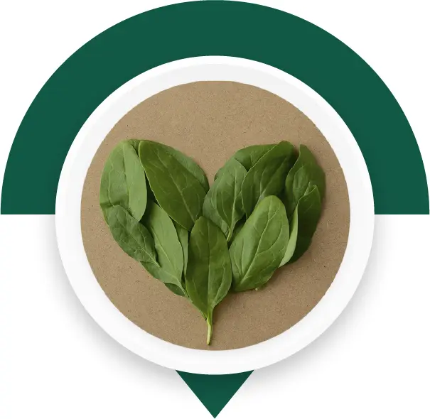 Responsabilità sociale