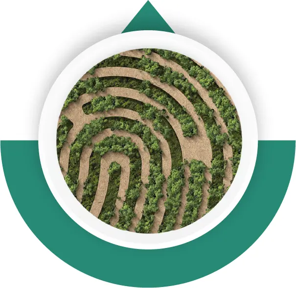 Stabilimento produttivo