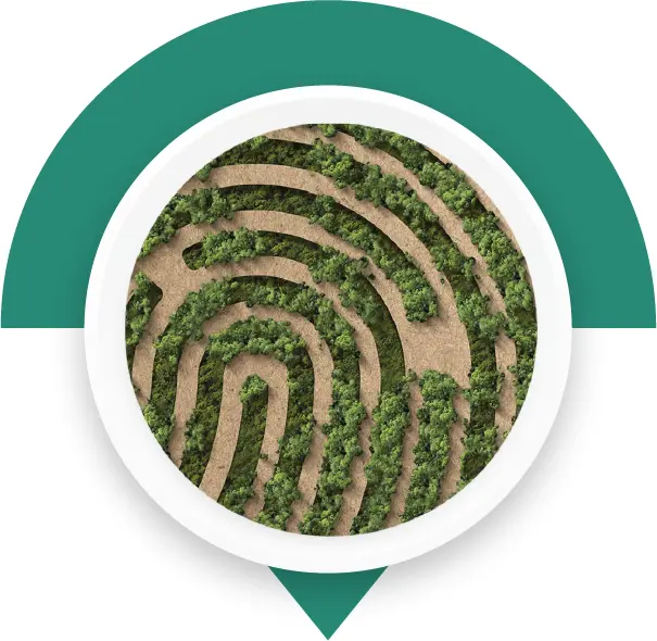 Stabilimento produttivo