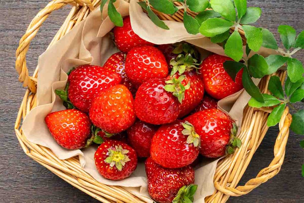 Fragole