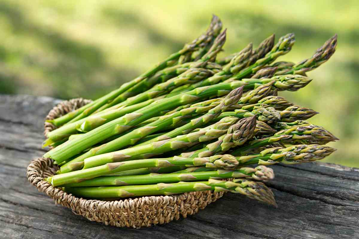 asparagi proprietà