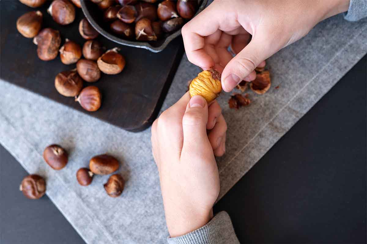 differenza tra castagne e marroni